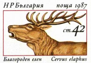 Colnect-4684-641-Red-Deer-Cervus-elaphus.jpg