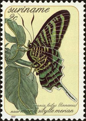 Colnect-4994-844-Green-banded-Urania-Urania-leilus.jpg