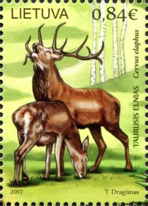 Colnect-5117-055-Red-Deer-Cervus-elaphus.jpg