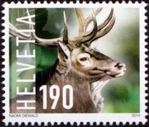 Colnect-5330-864-Red-Deer-Cervus-elaphus.jpg