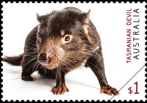 Colnect-5639-760-Tasmanian-Devil-Sarcophilus-harrisii.jpg