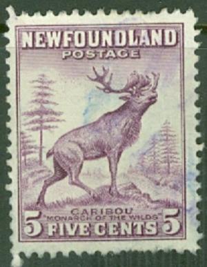 Colnect-6141-822-Red-Deer-Cervus-elaphus.jpg