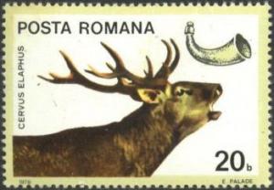 Colnect-620-524-Red-Deer-Cervus-elaphus.jpg