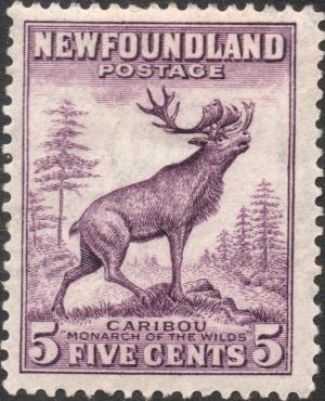 Colnect-6295-300-Red-Deer-Cervus-elaphus.jpg