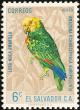 Colnect-1102-146-Yellow-headed-Amazon-Amazona-oratrix.jpg