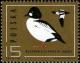 Colnect-1961-106-Common-Goldeneye-Bucephala-clangula.jpg