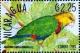 Colnect-3478-083-Yellow-headed-amazon-Amazona-oratrix.jpg