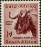 Colnect-4012-309-Black-Wildebeest-Connochaetes-gnou.jpg