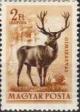 Colnect-597-452-Red-Deer-Cervus-elaphus.jpg