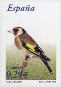 Colnect-581-635-European-Goldfinch-Carduelis-carduelis.jpg