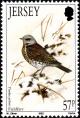 Colnect-6110-259-Fieldfare-Turdus-pilaris.jpg