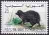 Colnect-4520-140-Algerian-Hedgehog-Aethechinus-algirus-.jpg