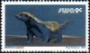 Colnect-783-783-Honey-Badger-Mellivora-capensis.jpg