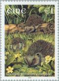 Colnect-129-948-European-Hedgehog-Erinaceus-europaeus.jpg