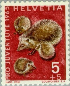 Colnect-140-279-European-Hedgehog-Erinaceus-europaeus.jpg