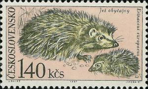 Colnect-438-971-European-Hedgehog-Erinaceus-europaeus.jpg