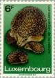 Colnect-134-198-European-Hedgehog-Erinaceus-europaeus.jpg