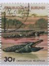 Colnect-1324-142-Nile-Crocodile-Crocodylus-niloticus.jpg