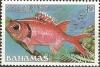 Colnect-1361-254-Blackbar-Soldierfish-Myripristis-jacobus.jpg