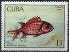 Colnect-2330-276-Blackbar-Soldierfish-Myripristis-jacobus.jpg