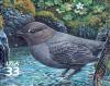 Colnect-2780-224-American-Dipper-Cinclus-mexicanus.jpg