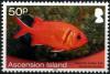 Colnect-3460-535-Blackbar-Soldierfish-Myripristis-jacobus.jpg