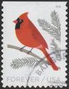 Colnect-5291-413-Northern-Cardinal-Cardinalis-cardinalis.jpg