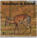 Colnect-1323-938-Salt--s-Dik-Dik-Madoqua-saltiana.jpg