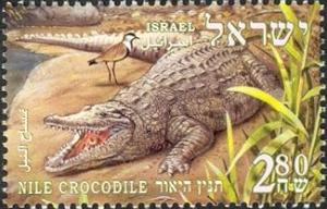 Colnect-2249-943-Nile-Crocodile-Crocodylus-niloticus.jpg