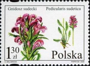 Colnect-3064-165-Pedicularis-sudetica.jpg