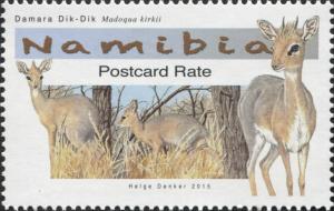 Colnect-3065-038-Damara-Dik-Dik-Madoqua-kirkii.jpg