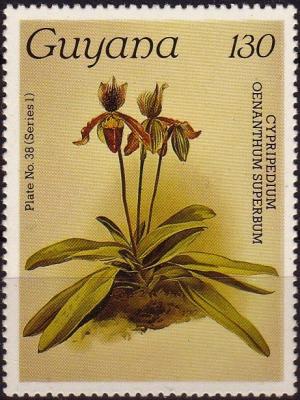 Colnect-3977-379-Cypripedium-oenanthum-superbum.jpg