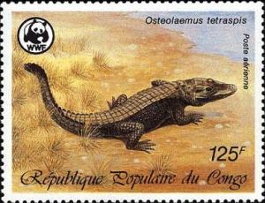 Colnect-4194-061-Dwarf-Crocodile-Osteolaemus-tetraspis.jpg