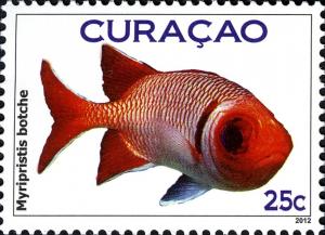 Colnect-5120-993-Blacktip-Soldierfish-Myripristis-botche.jpg