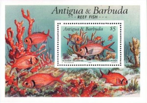 Colnect-1953-888-Blackbar-Soldierfish-Myripristis-jacobus.jpg