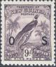 Colnect-2539-456-Raggiana-Bird-of-paradise-Paradisaea-raggiana-overprinted.jpg