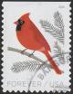 Colnect-5291-413-Northern-Cardinal-Cardinalis-cardinalis.jpg