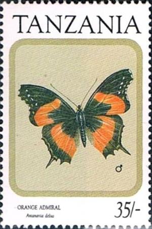 Colnect-2620-012-Orange-Admiral-Antanartia-delius.jpg