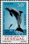 Colnect-2001-589-Bottlenose-Dolphin-Tursiops-truncatus.jpg