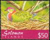 Colnect-2354-178-Superb-Fruit-Dove-nbsp-Ptilinopus-superbus.jpg