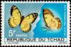 Colnect-771-746-Yellow-Splendour-Tip-Colotis-protomedia.jpg