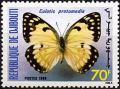 Colnect-2804-034-Yellow-Splendour-Tip-Colotis-protomedia.jpg