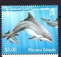 Colnect-4012-399-Bottlenose-dolphin-Tursiops-truncatus.jpg