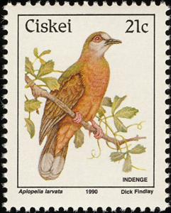 Colnect-1456-707-Lemon-Dove-Aplopelia-larvata.jpg