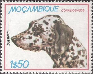 Colnect-1116-050-Dalmatian-Dog-Canis-lupus-familiaris.jpg