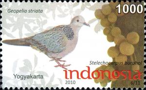 Colnect-1565-338-Zebra-Dove-Geopelia-striata.jpg