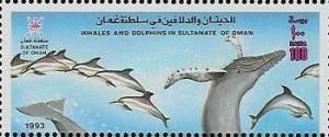 Colnect-1899-555-Atlantic-white-sided-Dolphin-Lagenorhynchus-acutus-Humpba.jpg