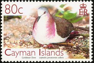 Colnect-2364-872-Caribbean-Dove-Leptotila-jamaicensis.jpg