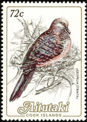 Colnect-2651-973-Zebra-Dove-Geopelia-striata.jpg