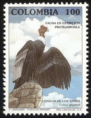 Colnect-2806-651-Condor-Vultur-gryphus.jpg